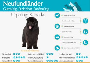 Neufundländer