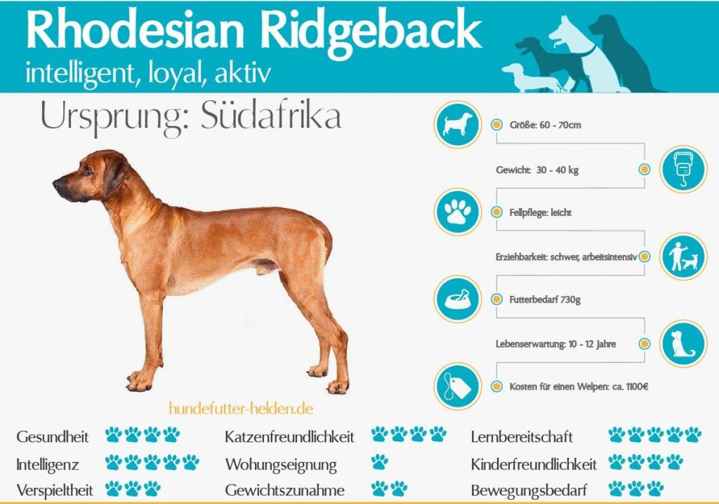 Rhodesian Ridgeback Hundefutter Helden